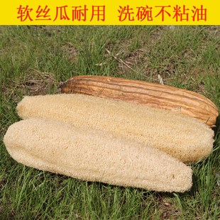 天然丝瓜络带壳水瓜筋有皮锅刷去污不沾油百洁布洗碗神器干丝瓜瓤