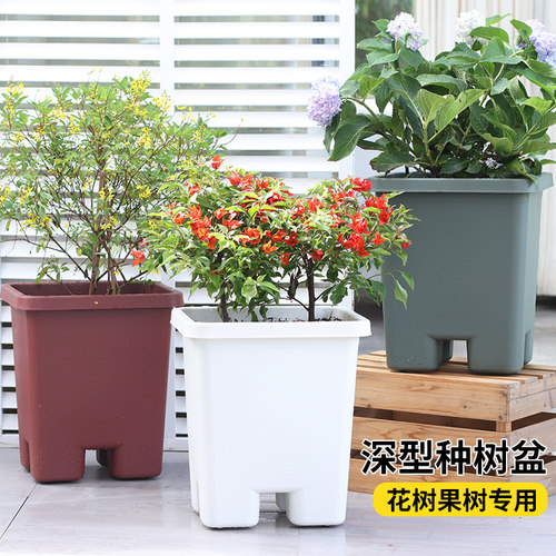 阳台种树专用箱楼顶盆栽绿植花卉种植箱家庭户外特深特大种树花盆