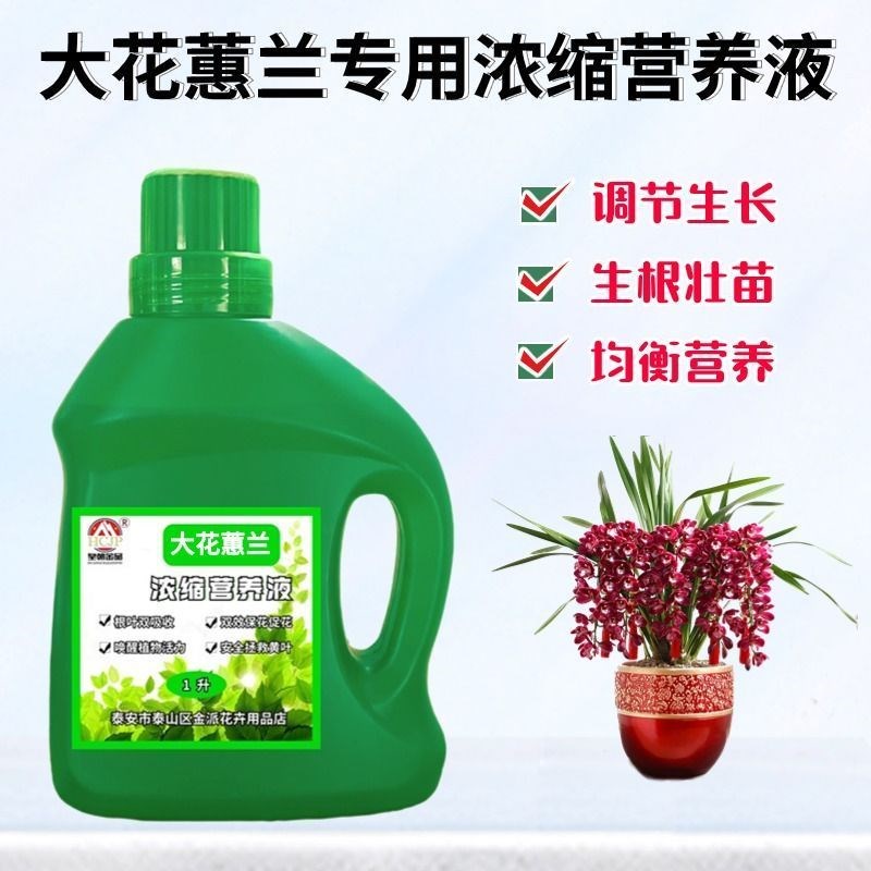 大花蕙兰专用浓缩营养液体室内盆景栽绿植物促开花通用养花卉肥料