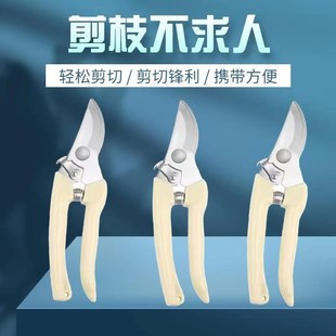 修枝剪果树修枝剪刀园艺剪刀修剪花卉剪刀修花剪刀家用剪枝工具