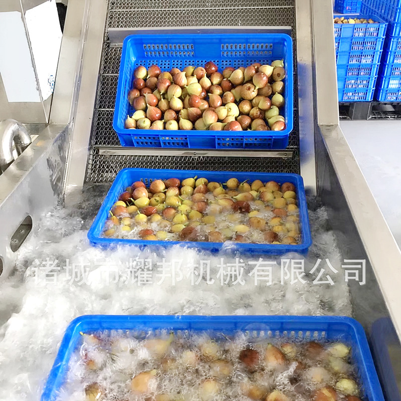 无花果清洗机 连续网带传送冬枣清洗设备 大型泡沫式全自动洗枣机