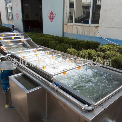 速冻豌豆成套加工设备 浸盐水→漂洗→烫漂→冷却→沥水流水线 8