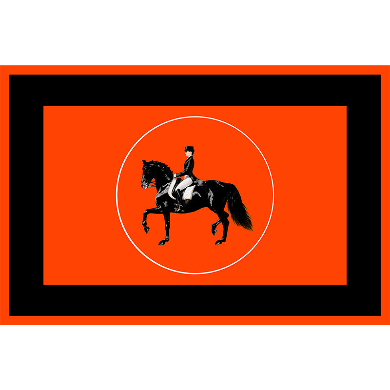 【PU免洗】美式橙色入户门垫 高级pvc皮革进门地垫脚垫可擦洗地毯,居家布艺,入户地垫,淘宝优惠券,粉丝福利购,淘宝优惠卷