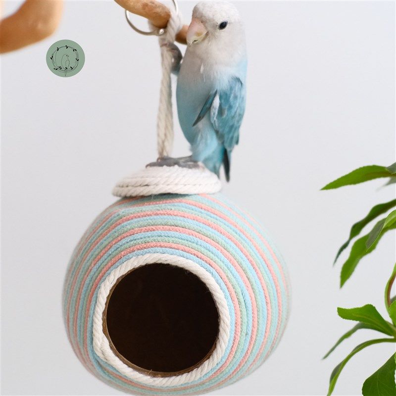 鹦鹉窝椰壳窝椰子壳鸟笼鸟窝牡丹虎皮夏季避暑挂窝小型鹦鹉用品,宠物/宠物食品及用品,鸟玩具,淘宝优惠券,粉丝福利购,淘宝优惠卷