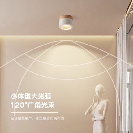 明装射灯北欧创意COB小射灯玄关阳台走廊无主灯设计免开孔led射灯