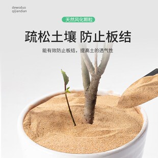 风化土盆景专用天然砂沙土颗粒扦插生根铺面石金弹子土营养土酸性