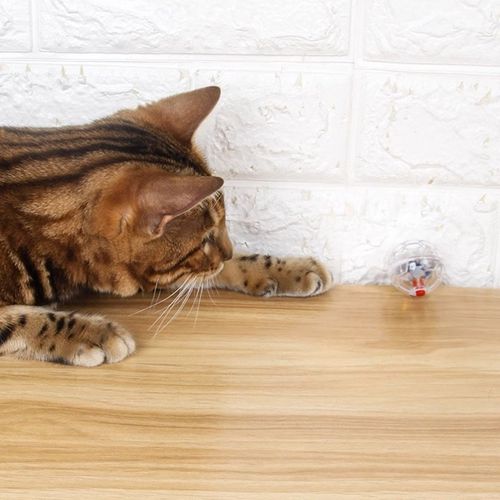 猫玩具按压发光球 宠物互动玩具发光逗猫棒 耐咬逗猫神器自嗨解闷