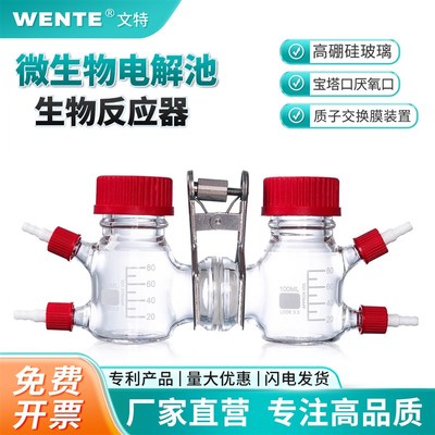 MFC微生物燃料电池反应器H型高硼硅玻璃化学电解池电解槽双室三室