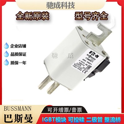 巴斯曼170M4971 170M4972 170M4973  低压保险丝诚信经营货源充足