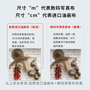 直播间背景墙布乡村五谷丰收辣椒玉米农产品主播带货旧房子拍照布