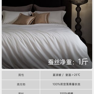 V45O被子蚕丝被冬被桐乡纯手工子母被二合一春秋被夏凉喜被芯