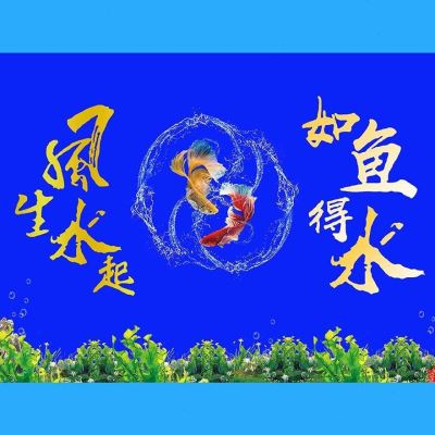 鱼缸背景贴纸风生水起壁画造景水族箱贴纸M自粘装饰免胶外贴静电