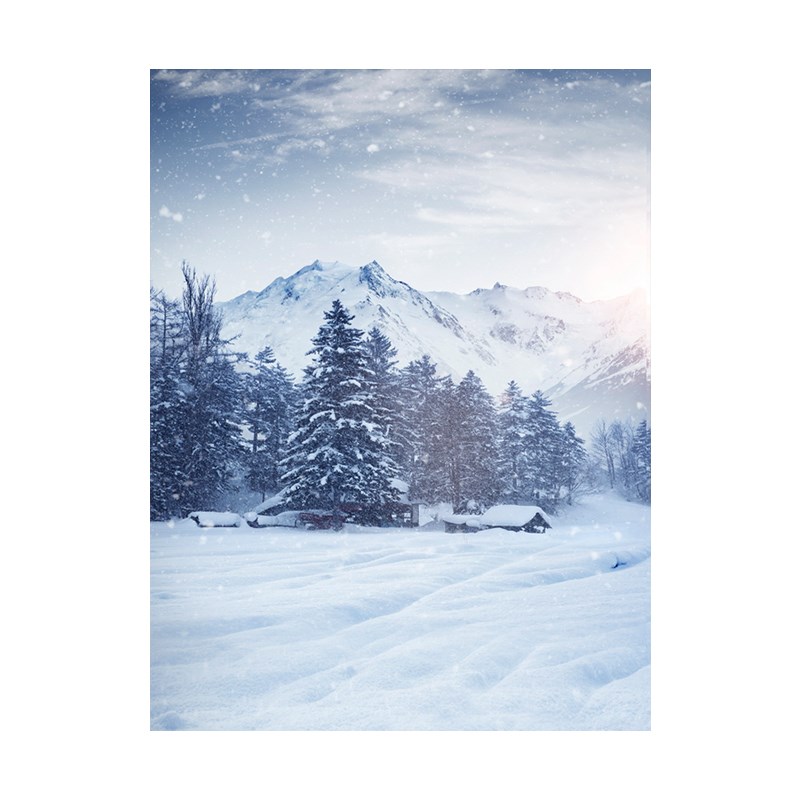 新款冬天雪地雪山雪林雪景室内影楼摄影拍照高清仿真背景布挂布