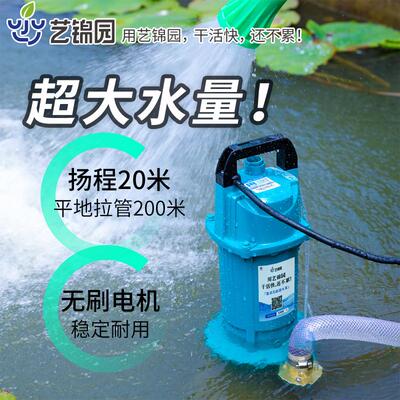 水泵农用灌溉直流潜水泵电动车48v60v高扬程抽水泵无刷电瓶抽水机