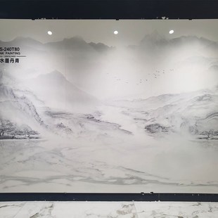 广东连纹大板12002400岩z板E客厅J电视背景墙瓷砖大理石简约