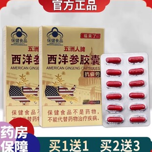 西洋参胶囊美国洋参胶囊洋参丸花旗参人参kang疲劳正品送礼长辈