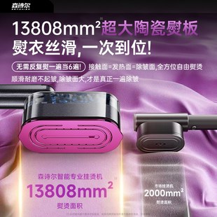 服装 手持挂烫机熨烫机家用小型大蒸汽熨斗2J024新款 店便携商用