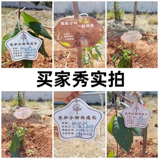 空白树牌di手写擦写班牌植树节挂牌树木认养牌牌树木介绍展示牌园
