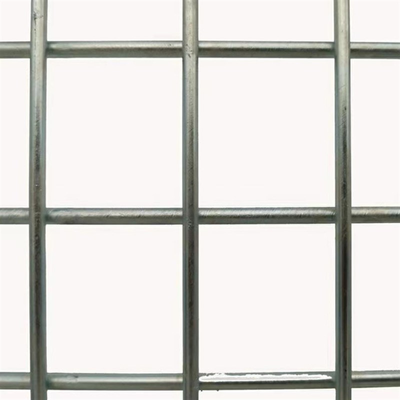 镀锌电焊网片鸽舍地网防护养殖网热镀锌长孔铁丝网格花园围栏