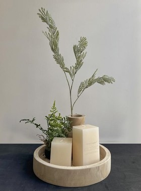 侘寂风绿植软装造景餐木质托盘盆桌面装饰玄关圆形果盘