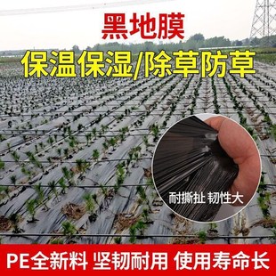 农用种植地膜大棚加厚抗老化黑地膜菜园保温保湿除草塑料胶布膜