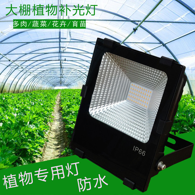 卉补光灯上色多肉防水温室大棚补光灯果蔬太阳缸生长灯,家装灯饰光源,植物生长灯,淘宝优惠券,粉丝福利购,淘宝优惠卷