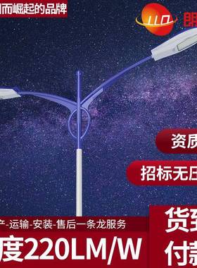 LED路灯60W100W150W200W户外道路照明高杆厂家6米8米10米12米14m
