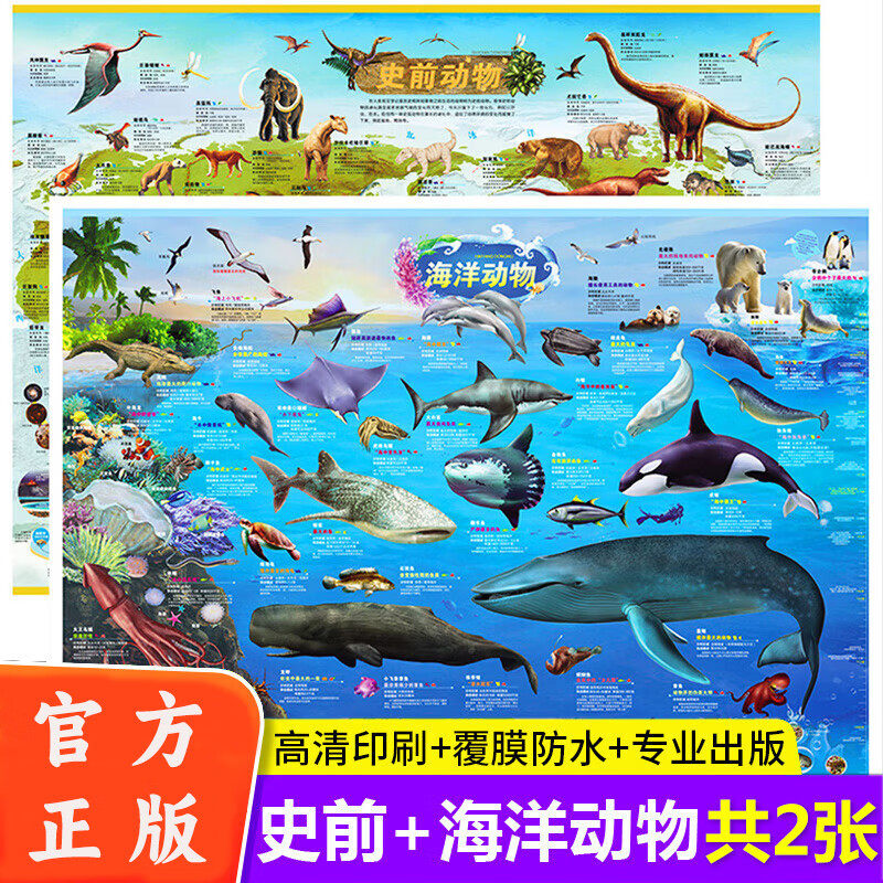 史前动物地图海洋动物地图墙贴挂图大尺寸高清远古恐龙书儿童科普百科全书启蒙海洋生物世界中小学生家用墙面装饰挂画