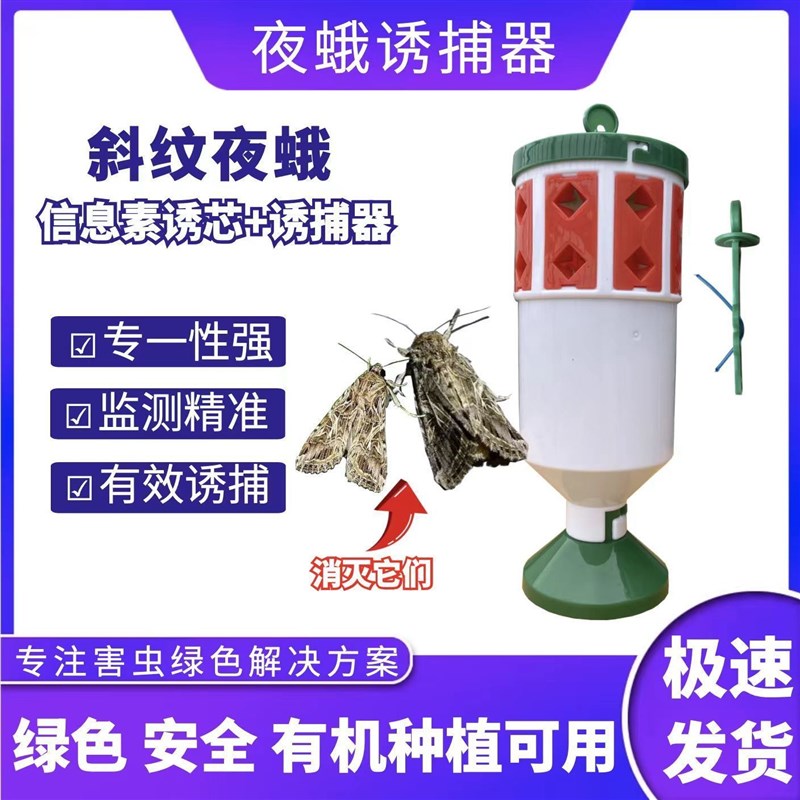 飞蛾陷阱夜蛾诱捕器甜菜斜纹夜蛾诱芯捕捉器大棚蔬菜诱虫捕虫神器