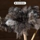 密绒鸵鸟毛逗猫棒家用除尘扫灰神器可水洗抗撕咬不易掉毛除尘掸子