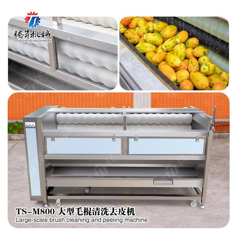 现货供应大型桔梗毛辊清洗去皮机全自动中药材毛辊清洗机