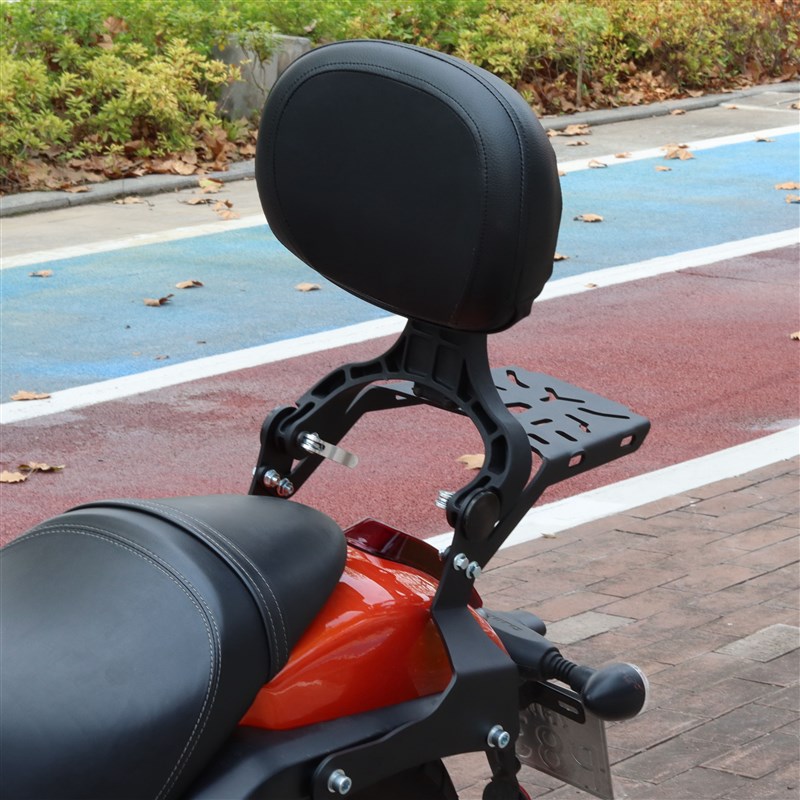适用闪300折叠靠背QJ300-12R摩托车改装一体折叠伸缩靠背加装配件