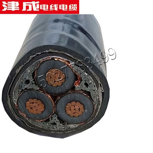 铜芯YJV YJV22铠装2 3 4芯6 10 16 25 50平方低压无氧铜电力电缆