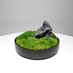 酒店大堂仿真盆景永生苔藓艺绿植茶室会议洽谈桌装饰