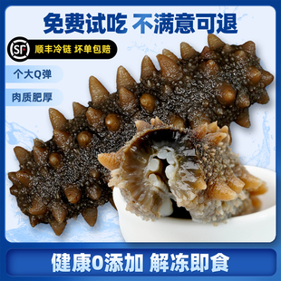 向阳渔港大连即食海参真空独立包装底播鲜活辽刺参孕妇滋补礼品