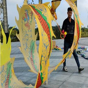 广场健身龙舞龙彩带甩彩龙彩条龙头中老年彩绸甩龙舞台飘带可水洗