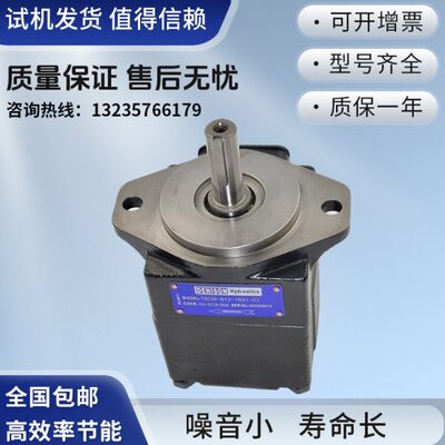 Denison丹尼逊油泵T6E-052-1R02-A1叶片泵T6E-072-1E01-A1