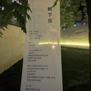 音乐会装饰半透纱户外森系挂布树下见舞台布幔田园草坪拍照布置