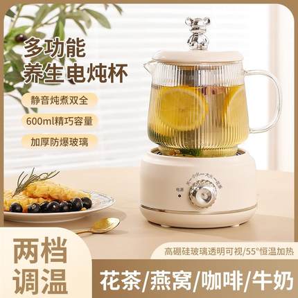 多功能养生杯家用养生壶小型办公室花茶壶迷你煮茶壶全玻璃烧水杯