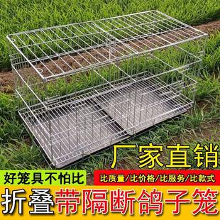 鴿子籠家用大號繁殖籠鴿子配對籠養殖籠鐵網清倉兔子籠貓籠狗籠子