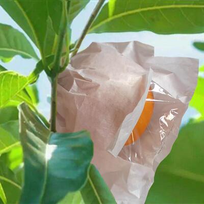 黄晶果套袋专用袋热情果黄金百香果袋鸡蛋果百味果蛋黄果水果保护