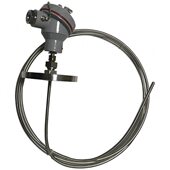 Φ6 536 WZPK2 双支热电阻 6线制 卡套法兰dn50 500mm 300℃