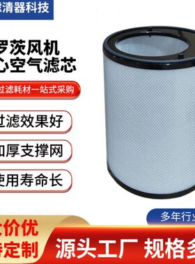 罗茨风机偏心空气滤芯175241000有效折叠玻纤除尘过滤筒厂家