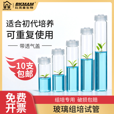 玻璃组培试管透气盖耐高温无菌菌种瓶初代植物组织培养基琼脂实验