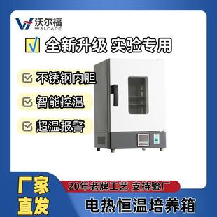 鼓风干燥箱实验数显高温烘箱恒温恒湿鼓风立式 滑轮箱