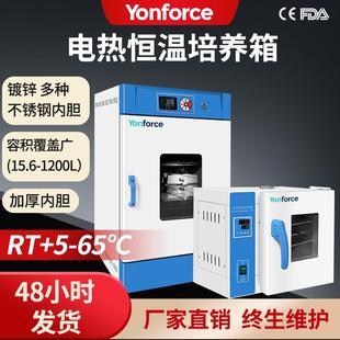 电热恒温培养箱实验室微生物种恒温培养箱电热恒温培养箱精准