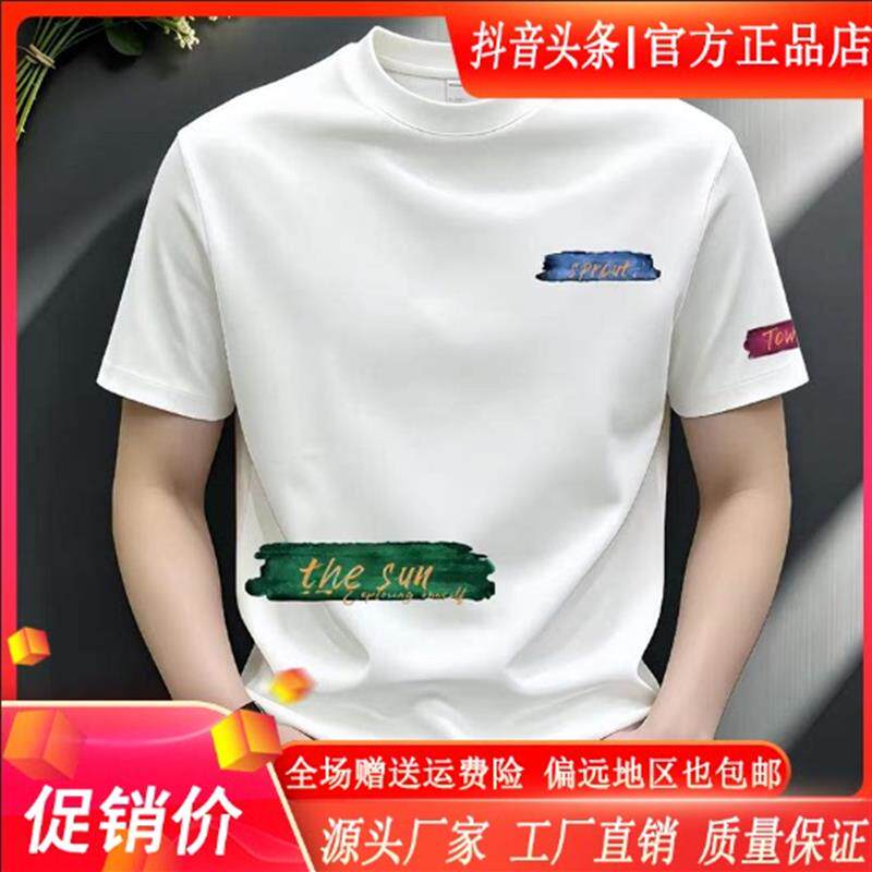 师凯服饰男装Amphelisia英文男短袖T恤潮流休闲修身正肩圆领上衣