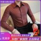 衬衫 千里马轻奢26男士 秋季 纯色高级感暗扣正装 长袖 商务大尖领修身