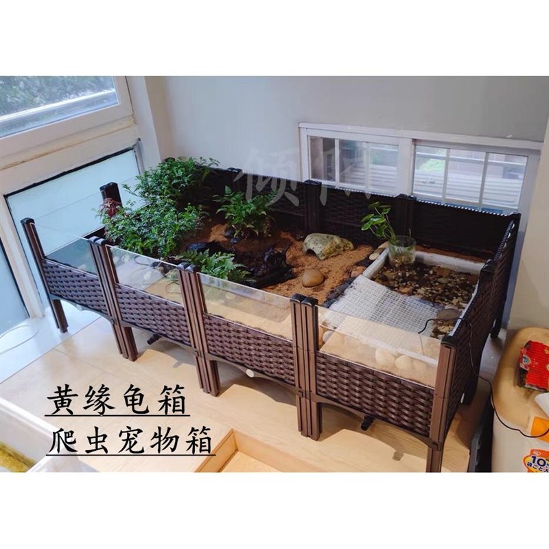 黄缘养殖箱龟专用养宠物陆龟乌龟黄缘幼龟饲养缸透明玻璃爬虫盆