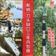 摘水果荔枝龙眼樱桃高枝剪伸缩高空剪采摘果子水果剪加长果树剪刀